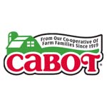 cabot cheese icon park